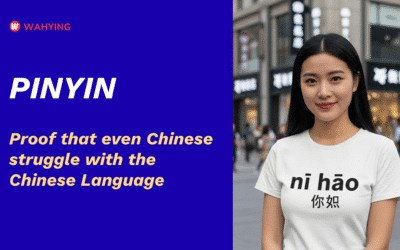 Do Chinese really struggle to learn Chinese?