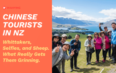 What do Chinese Tourists Enjoy Doing in NZ?