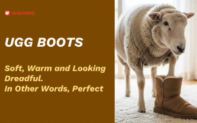 Ugg boots – a sheep’s last act of kindness