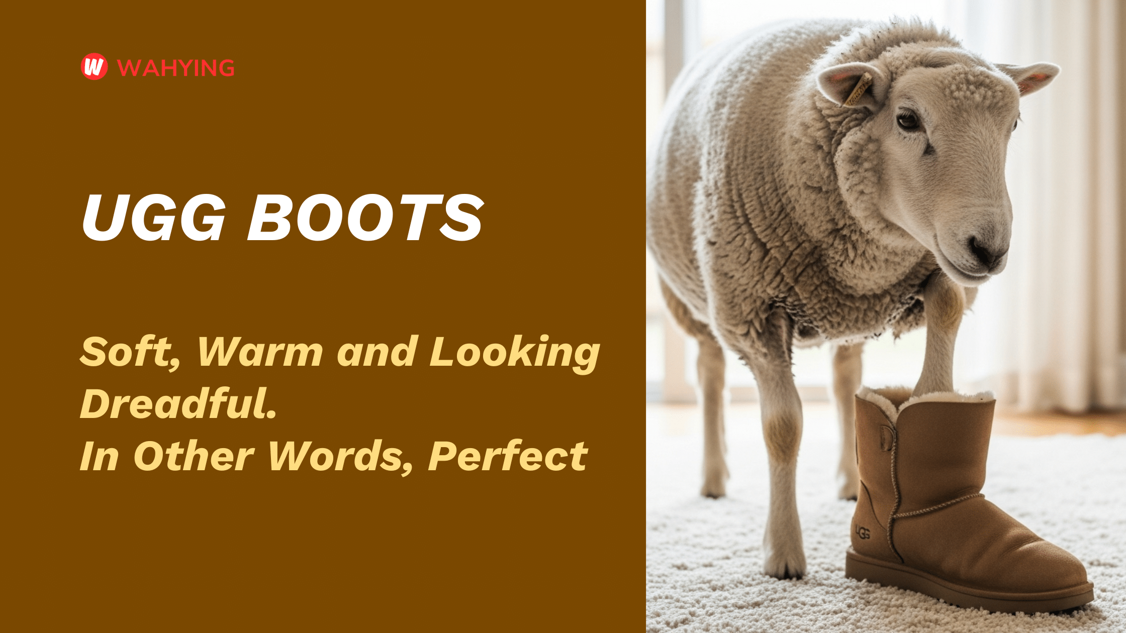 Ugg Boots
